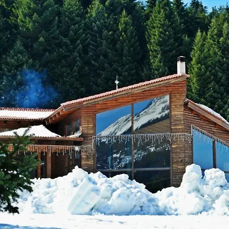 Holiday home Electra's Cozy House Elati (Trikala)