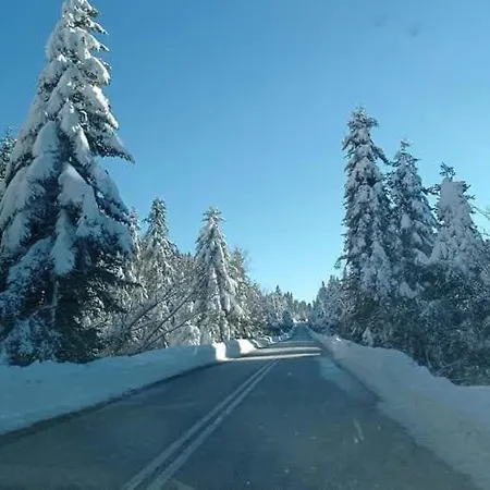 Electra's Cozy House * Eláti