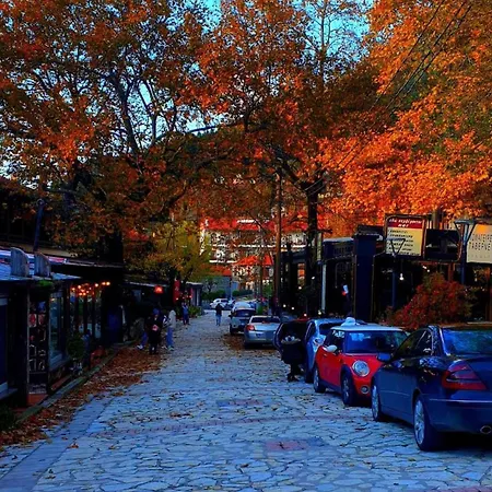 Prázdninový dům Electra's Cozy House Eláti