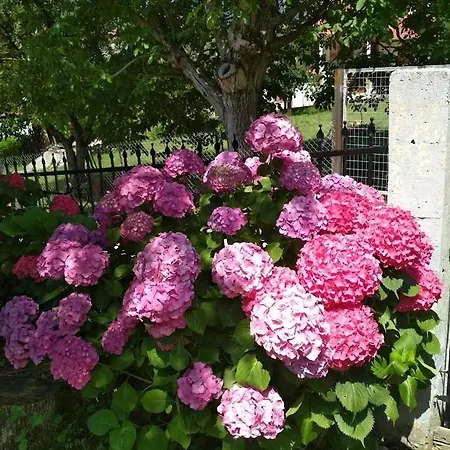 Electra's Cozy House * Eláti