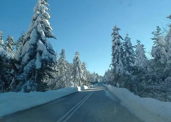 Electra's Cozy House * Eláti